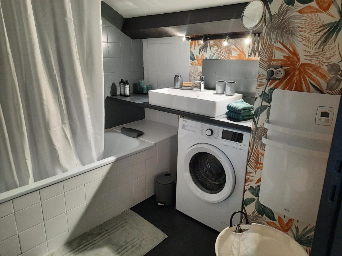 Ussat Superbe Appartement Pour 2, Au Coeur De L'Ariege! מראה חיצוני תמונה